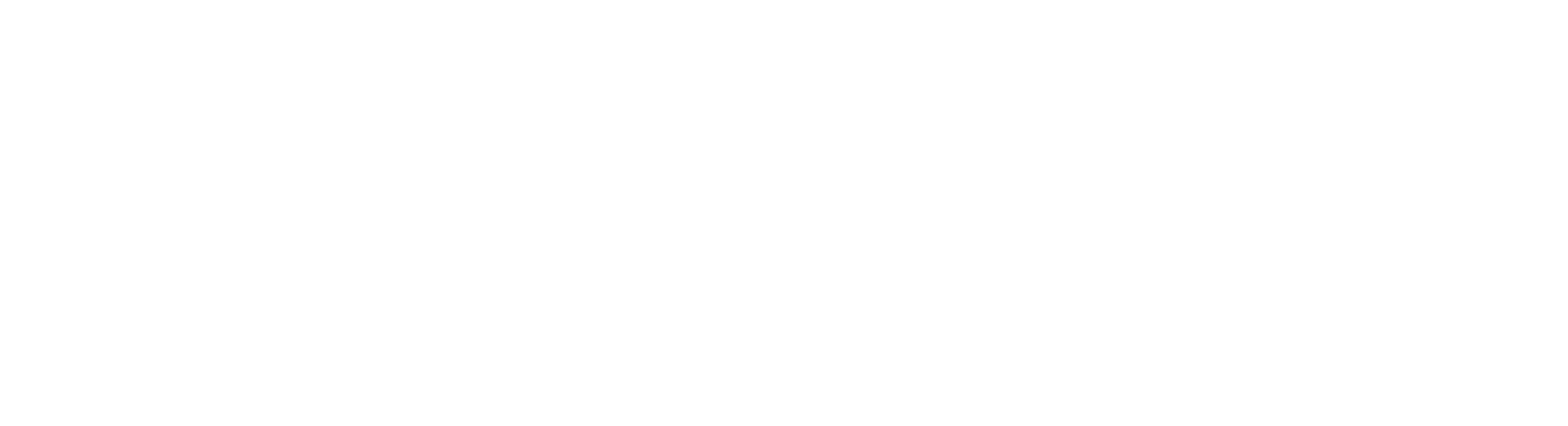 Ellen Kok Coaching